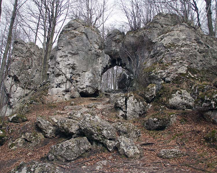 Rezerwat Parkowe